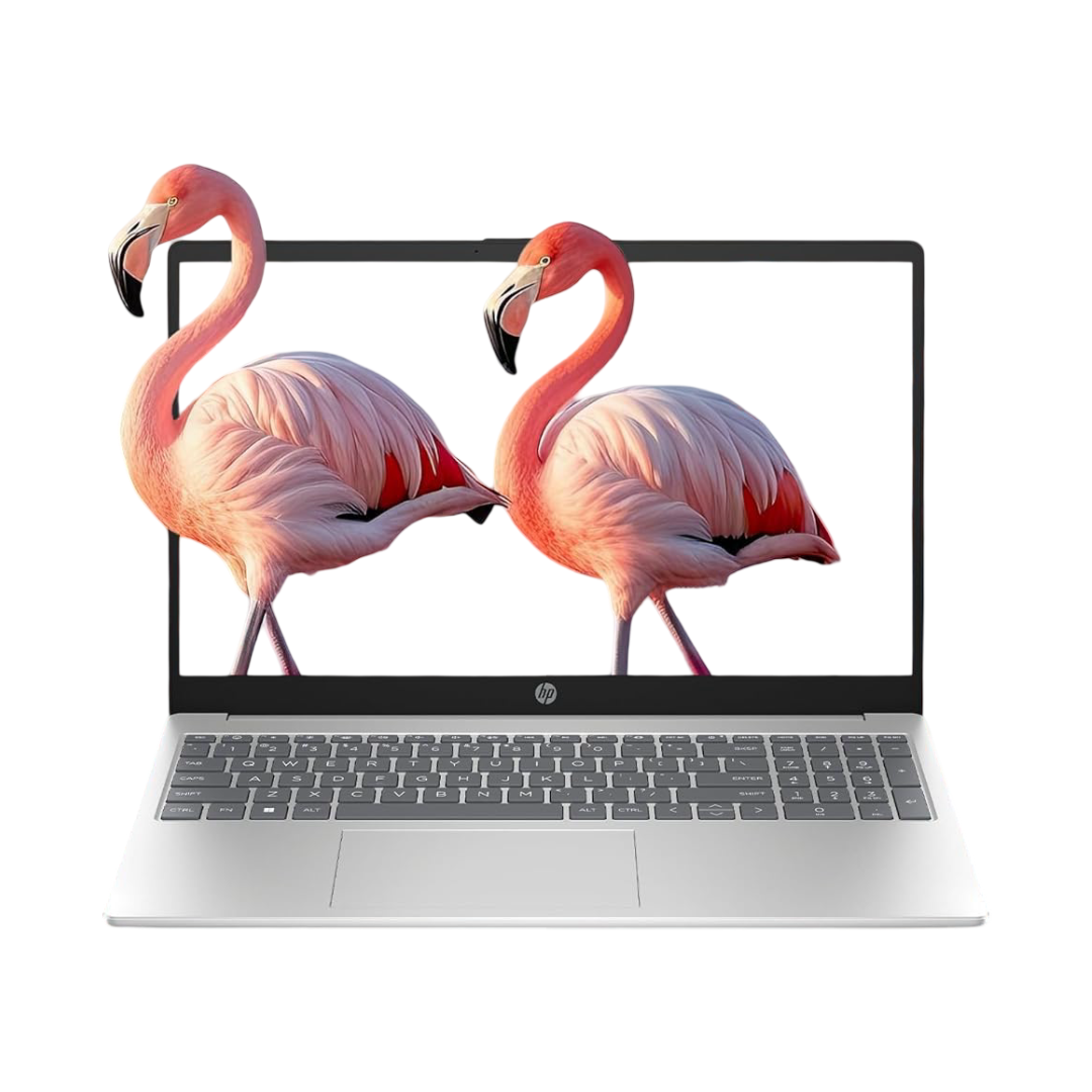 HP 15, Ryzen 5 7530U Laptop (8GB DDR4,512GB SSD) Anti-Glare,15.6''/39.6cm, FHD, Win11, M365 Basic(1yr),Office Home24, Silver,1.59kg, Radeon Graphics, Camera w/Privacy Shutter, fc0388AU